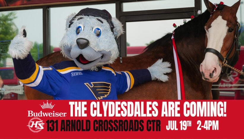 🐴📢Clydesdale Meet & Greet at Hotshots Arnold