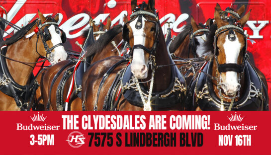 Clydesdale Meet & Greet