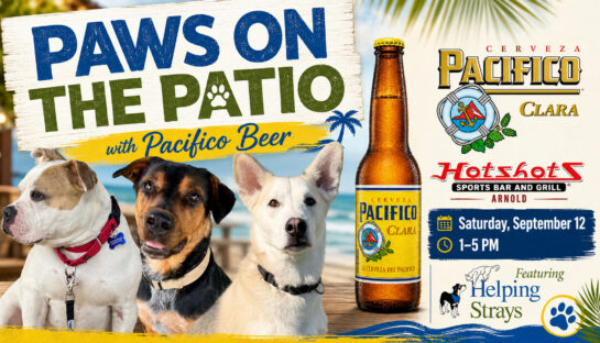 Paws on the Patio